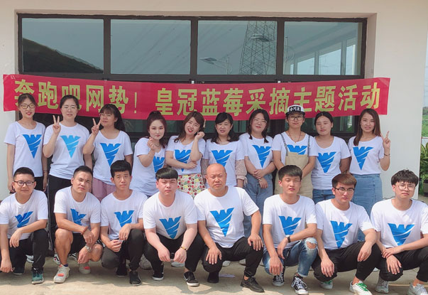 【奔跑吧網(wǎng)勢(shì)！】藍(lán)莓采摘主題團(tuán)建活動(dòng)
